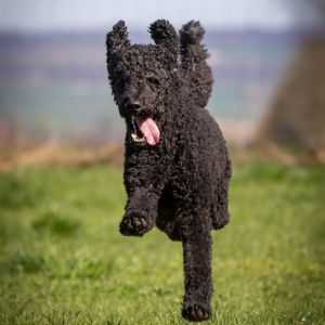 img659 dxo dng dxo prime b