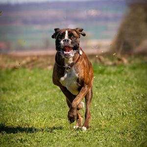 img671 dxo dng dxo prime b