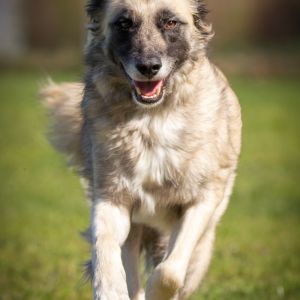 img703 dxo dng dxo prime b