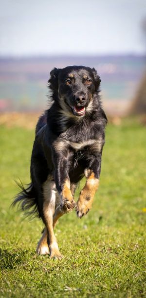 img723 dxo dng dxo prime b